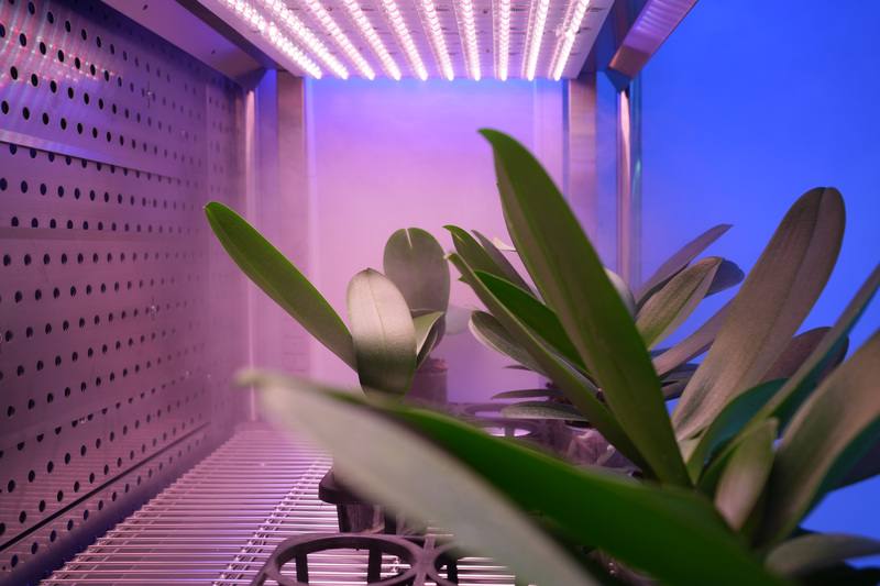 屏科大農學院「先進表型農業實驗室」30日揭牌，實驗室內配備完全人工光型植物工廠，可調光譜與光量的人工光、降溫、加溫、加濕、除濕、風速，以及二氧化碳濃度等皆可控制。