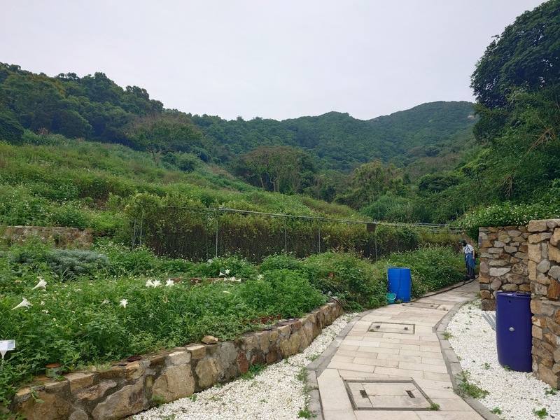 連江縣南竿鄉珠螺社區發展協會耗時2年，將村內無人種植的荒廢農地重新整理，並引進以雨水與山泉水為主的智慧灌溉系統，結合再生能源打造「珠螺農園」，園內栽植馬祖原生種金銀花等10種植物。