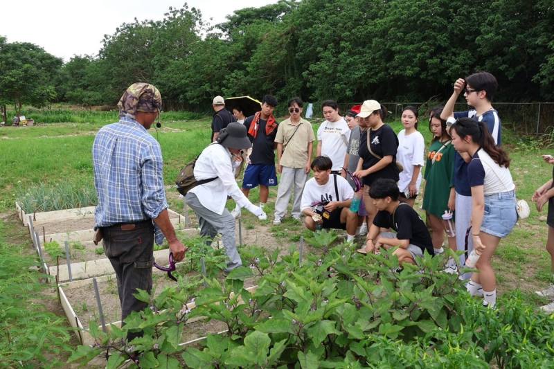 亞洲大學原住民食農文化宣教暨種植教育活動-一同採菜趣
