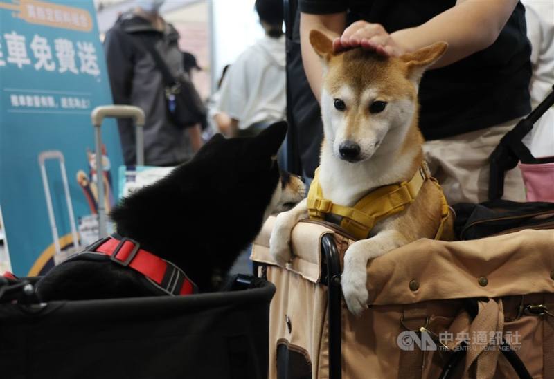 2024年狗貓登記數量約23.3萬，業界看好寵物險投保商機。（中央社檔案照片）