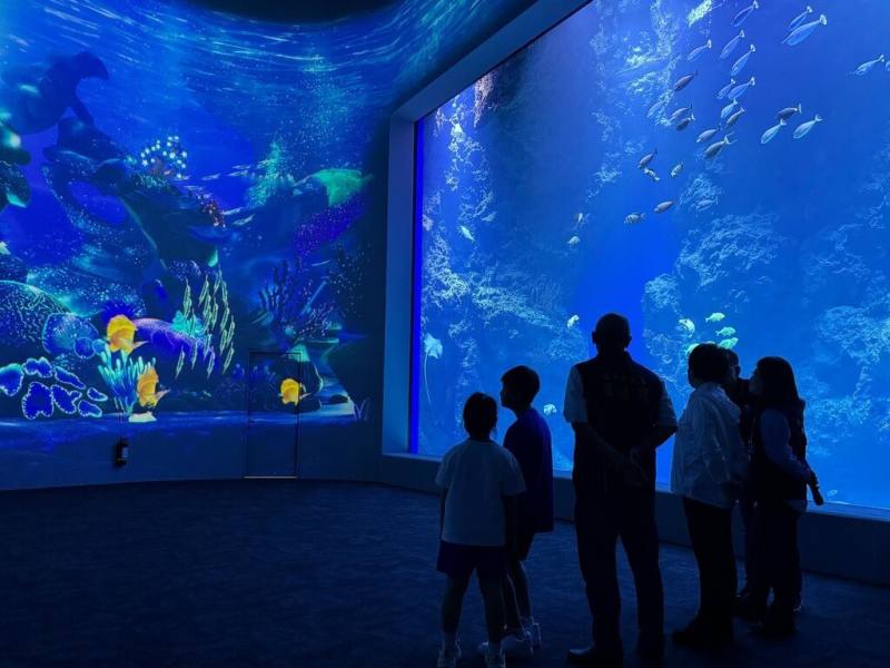 台中海洋館將於21日正式開幕，最大特色為全開放式設計，突破傳統封閉式觀賞模式，讓民眾近距離欣賞海洋生物。圖為黑潮之海展缸。（民眾提供）