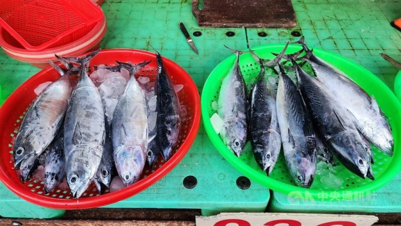 美對台20%暫時性關稅7日開始實施，農業部當日宣布「180億元農漁產業支持方案」。圖為澎湖魚市場魚貨。（中央社檔案照片）