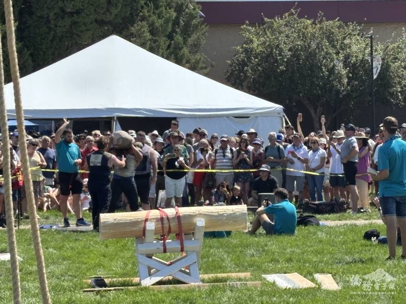 大力士舉重比賽