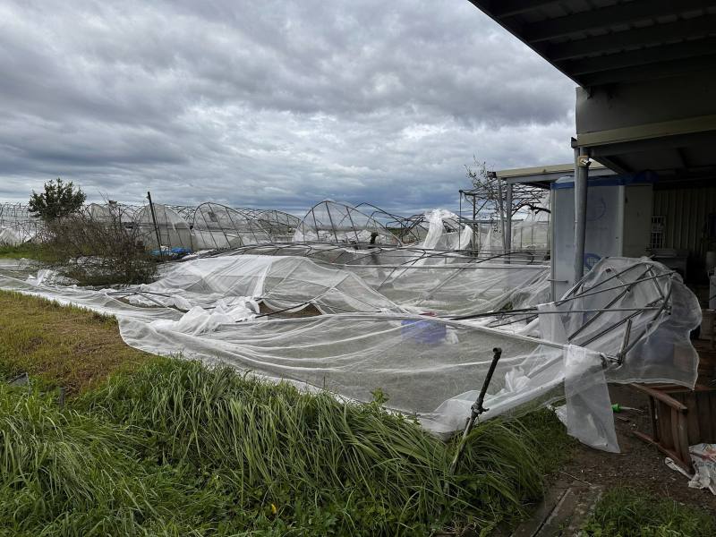 臺南市「蓮心園庇護農藝工場」溫網室嚴重受創