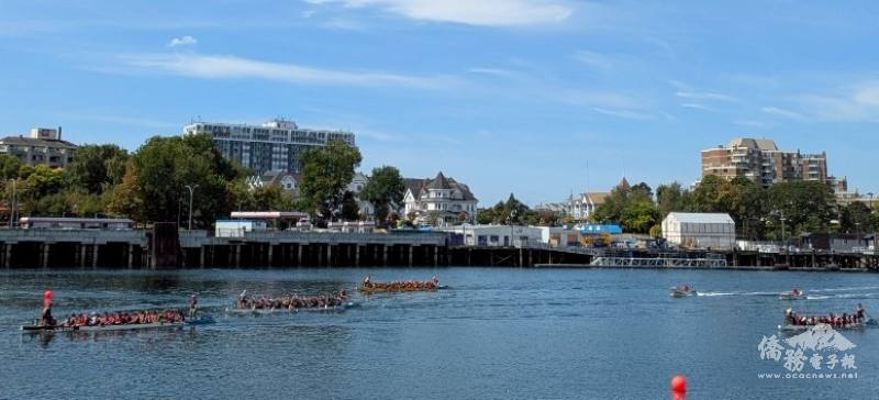 龍舟節緊張熱烈的龍舟賽事