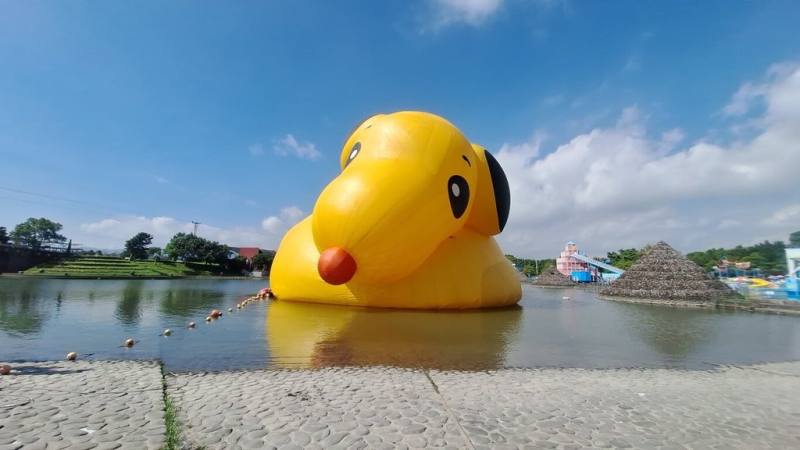 颱風楊柳逼近，宜蘭國際童玩藝術節啟動防颱措施，12日上午8時將大型裝置藝術「史努比鴨」消氣收納，固定在浮板上。（讀者提供）
