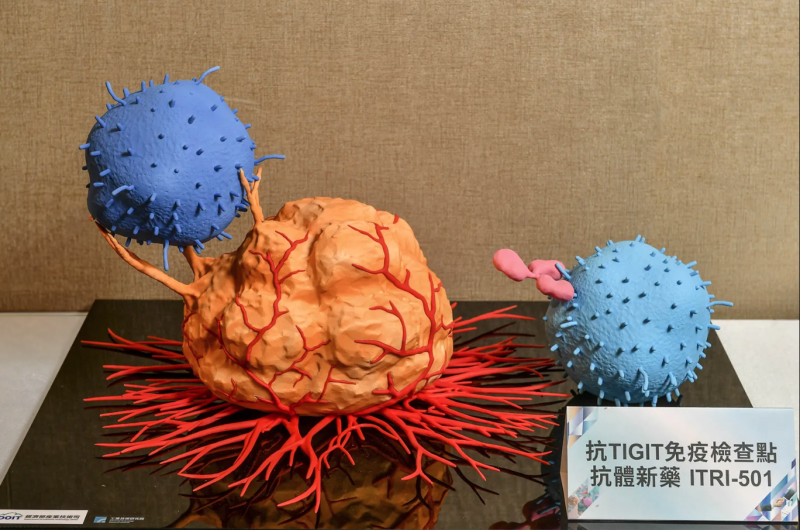 工研院在經濟部科技專案支持下，研發出抗體新藥「ITRI-501」，在前臨床實驗中，顯示具備良好的長效性與抗腫瘤效果，整體療效更勝國際同類藥物，為癌症治療帶來全新突破。