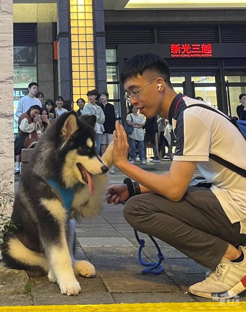 馮文彬與愛犬哈士奇在臺北街頭散步