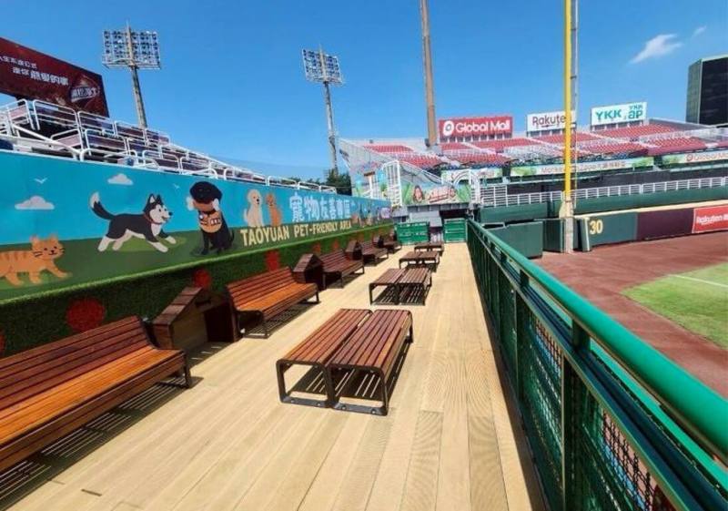 桃園市動保處與中職樂天桃猿隊合作，打造全台首創「棒球場寵物樂園」，2樓看台區能讓飼主與毛孩共同觀賞賽事。（桃園市動保處提供）