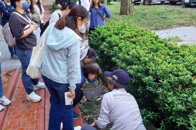 台南在前一段時間雨後可能出現許多隱藏性積水環境，台南市教育局與國家衛生研究院國家蚊媒傳染病防治研究中心合作，連續兩天進入校園舉辦病媒蚊研習及實地孳清演練，盼強化學校第一線防治登革熱能力，並深入社區及各家戶。（台南市教育局提供）