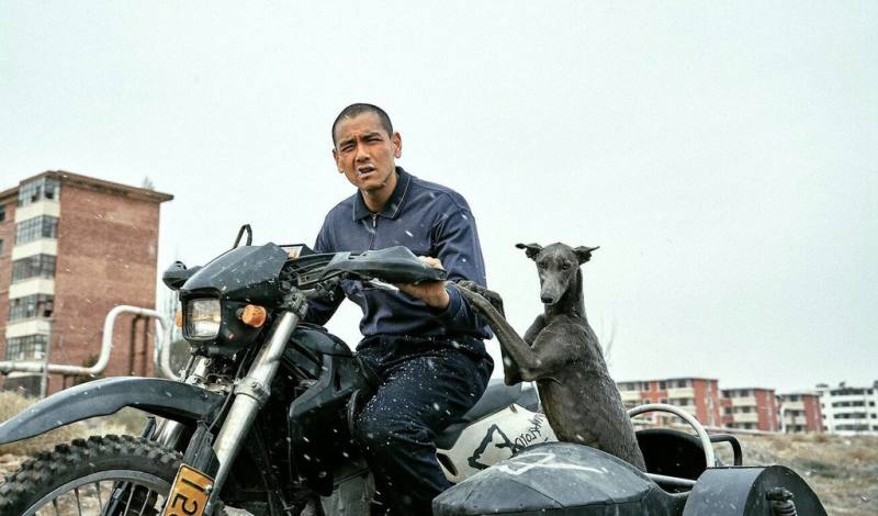 2025第12屆桃園電影節22日起至9月4日將登場，「焦點導演」單元選映10部作品，當中包含由中國導演管虎執導、演員彭于晏（圖）主演的「狗陣」。（海鵬提供）