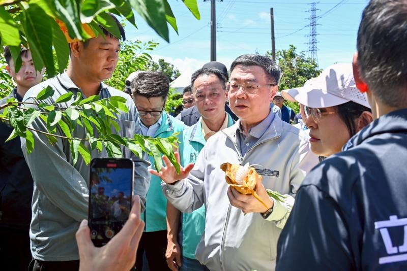 行政院長卓榮泰視察臺東縣卑南鄉大目釋迦農損情形