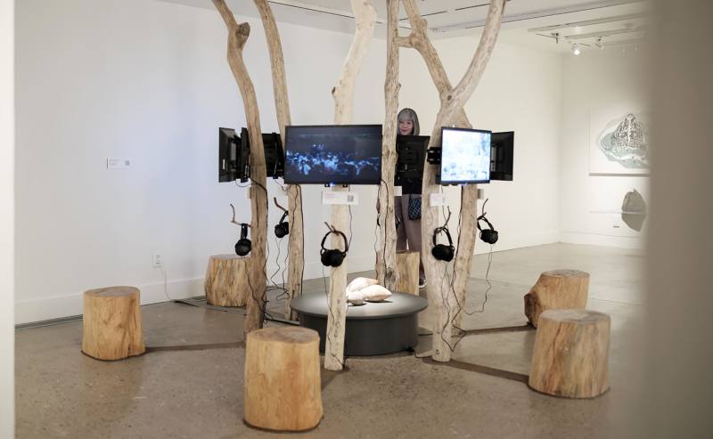 Makotaay生態藝術村，〈Makotaay的藝術與行動主義〉，2025，漂流木、24吋電視，尺寸依場地而定，藝術家提供。圖片由美國當代原住民藝術博物館提供。