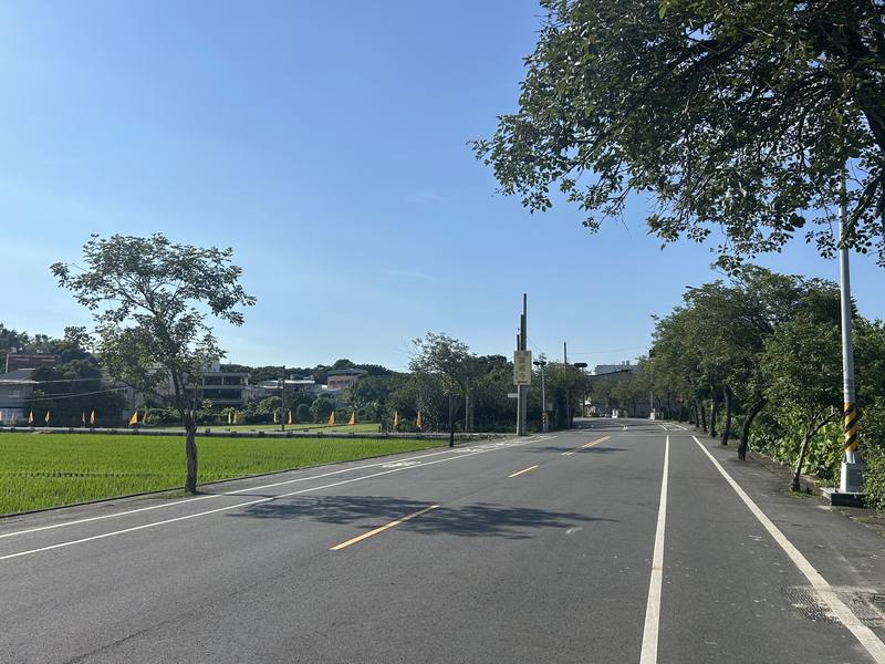 交通部公路局中區養護工程分局南投工務段19日說，工務段日前評估台14丁線彰南路上有93株黃金風鈴木可能倒伏須移除，但芬園寶藏寺前約1.2公里長路段由縣府管理維護，不在評估須移除範圍內