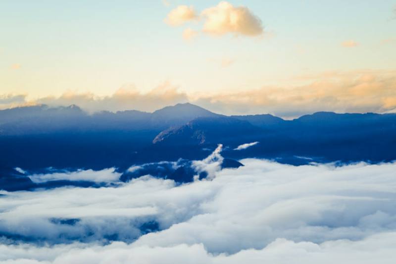 Moisture accumulates at elevations of 1,700–2,500 meters to form dense mist or a sea of clouds. This zone is known as the cloud forest belt. The image shows the sea of clouds at Mt. Taiping in Yilan County.​​