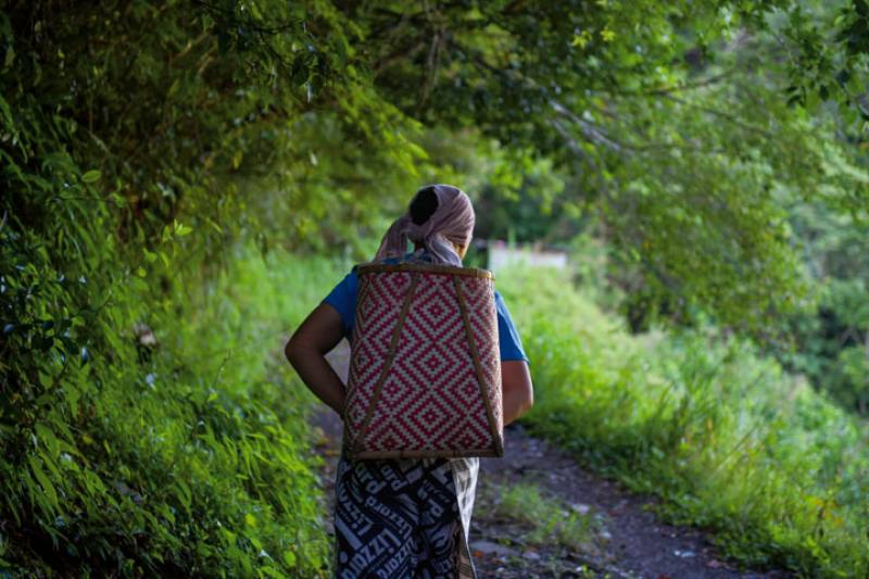 人們走進中級山的動機各有不同，有部落的新生代循著當年部落遷徙的足跡，找回山上的家。