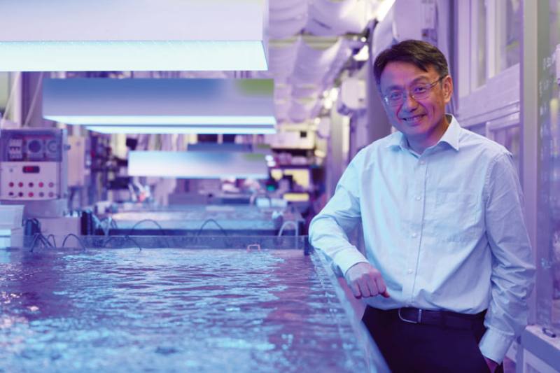 When used in the propagation of coral fragments, Delta’s LED spectral control system can accelerate coral growth.​​