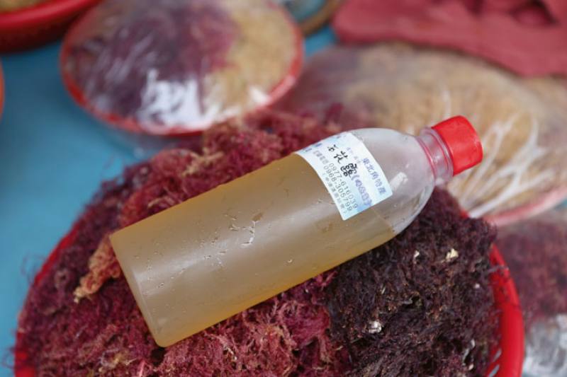 人工採集石花菜後，必須經過七洗七曬，讓紅褐色逐漸變成米黃色，才能煮成富含海味的石花凍。