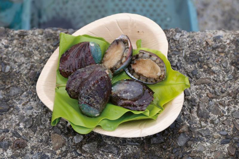 鮮物本舖以東北角的海洋環境，搭配生態養殖方式養的九孔鮑、海葡萄，讓人品嚐到東北角風土的滋味。