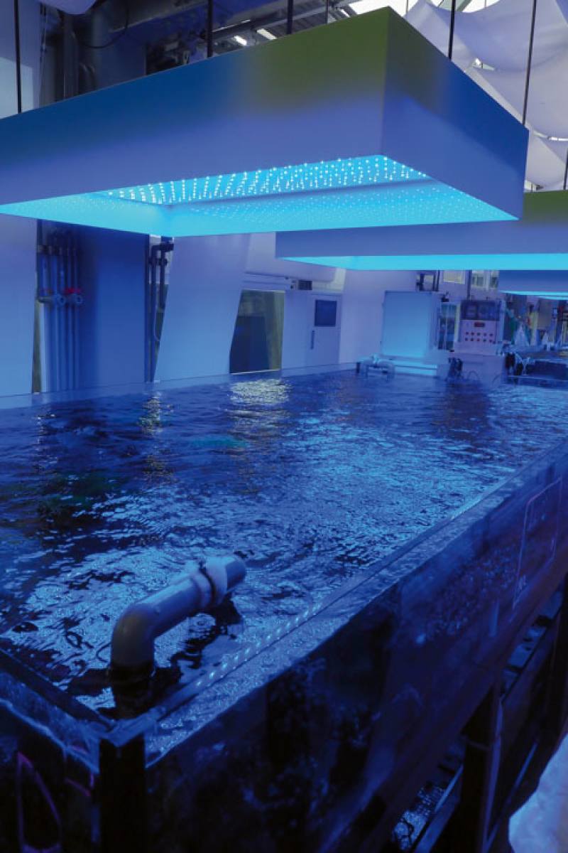 台達基金會執行長張楊乾表示，台灣的科技技術若與海洋研究合作開發，能成為珊瑚保育的利器。