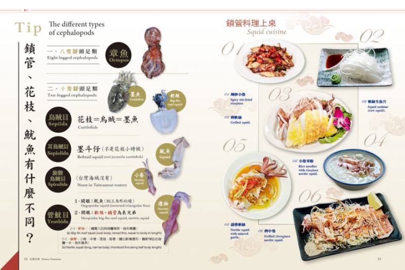 鎖管、花枝、魷魚有甚麼不同？