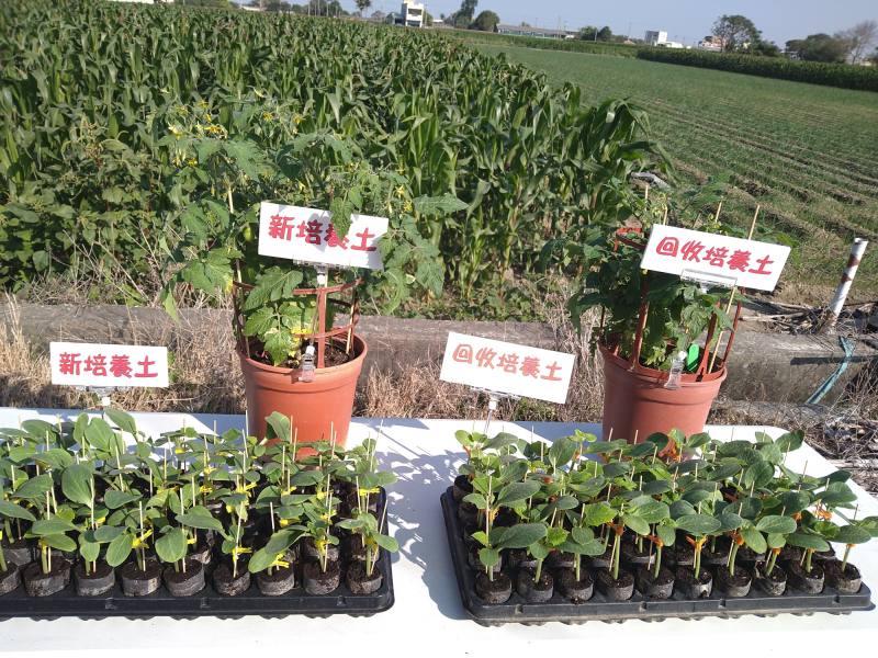 回收培養土&嫁接苗&盆栽