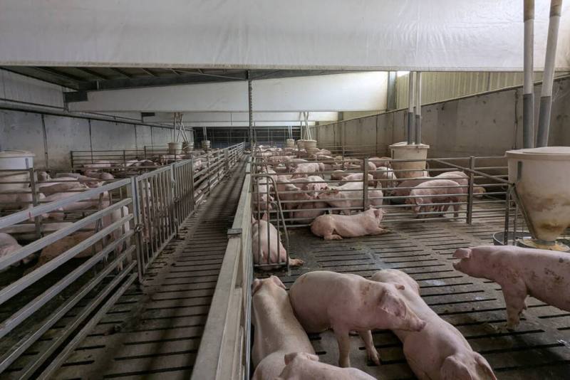 颱風丹娜絲侵襲造成台南上百處畜牧場受損，但部分先前改建現代化設施的畜牧場受影響程度則不大，市府27日持續鼓勵業者把握災後補助機會升級