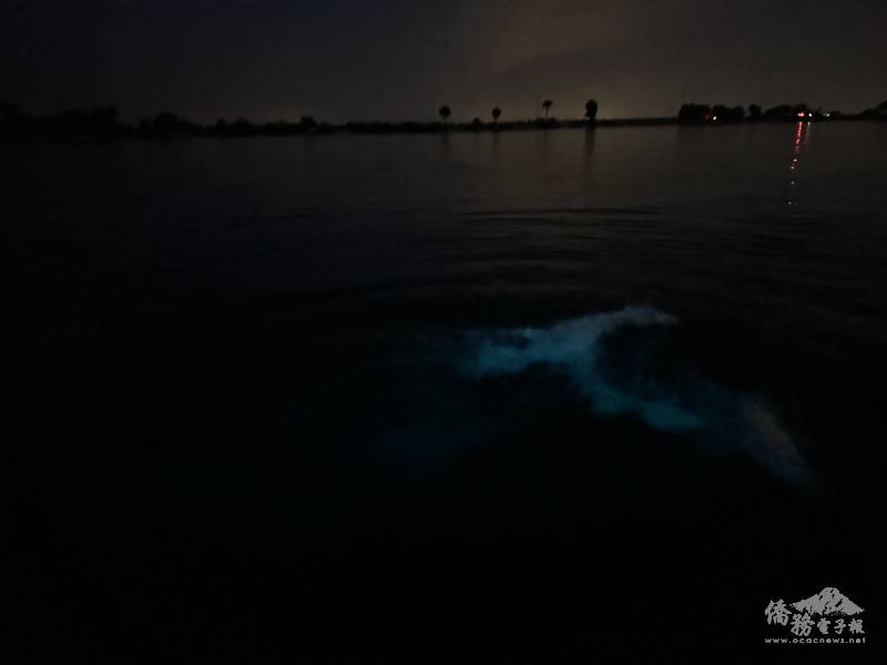 疑似海牛游過激起的藍色微光