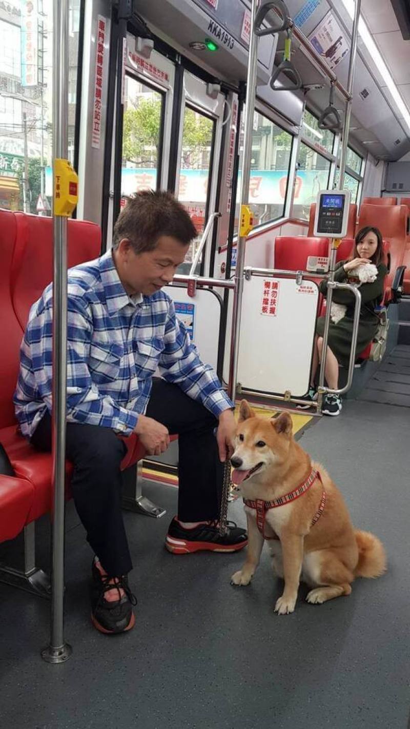 新北市自民國108年起推出「假日友善寵物公車」路線，交通局1日宣布，5日起行駛「汐止－捷運昆陽站」藍15線也加入行列，假日將有3班次讓一般家庭寵物免裝籠和飼主一起搭車外出。（新北市交通局提供）