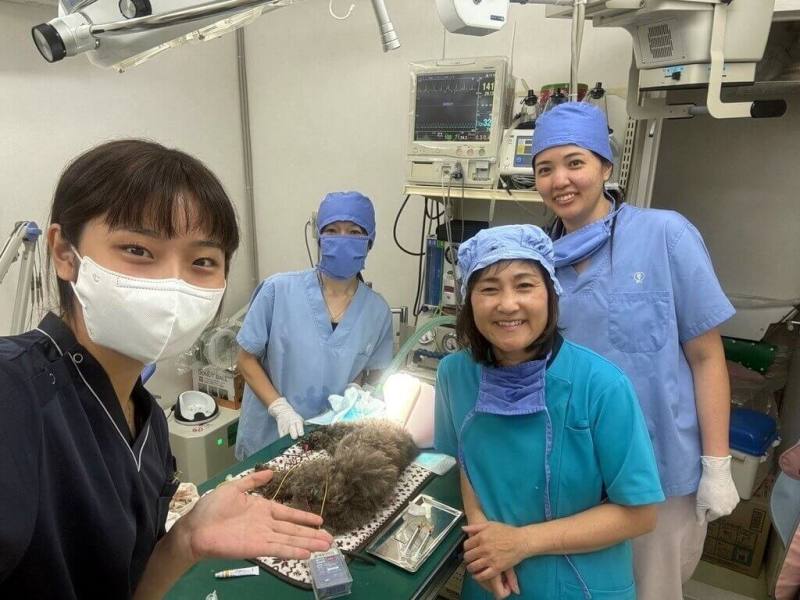 嘉義大學獸醫系學生林婕宜（左）暑假赴日本神奈川縣鎌倉市的動物醫院臨床實習，與院內人員開心合影（嘉大提供）