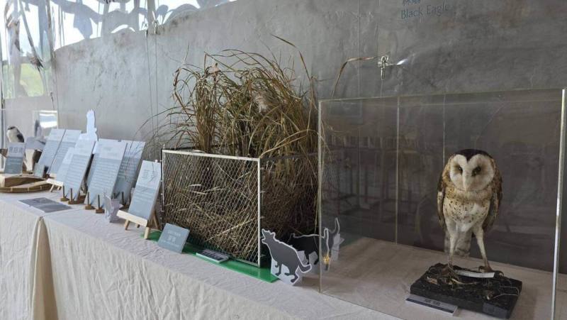 東勢林業文化園區修理工廠即日起到11月2日展出「原來我們那麼近－猛禽生活主題展」，讓民眾輕鬆認識不同猛禽間食物選擇、遷徙活動及巢位喜好差異（民眾提供）