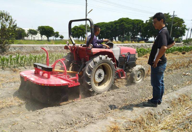 引進日本切葉機去除大蒜莖葉部分