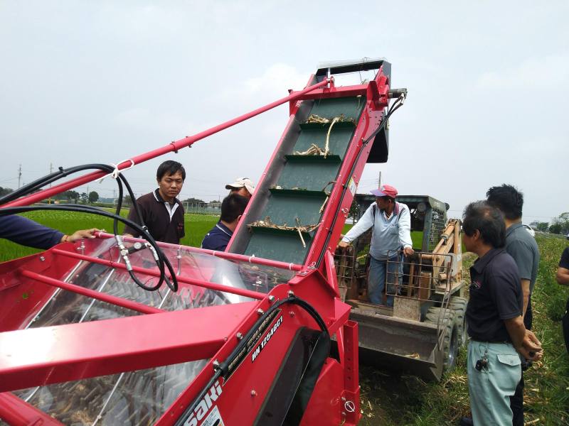 引進日本寬畦收穫機進行收穫