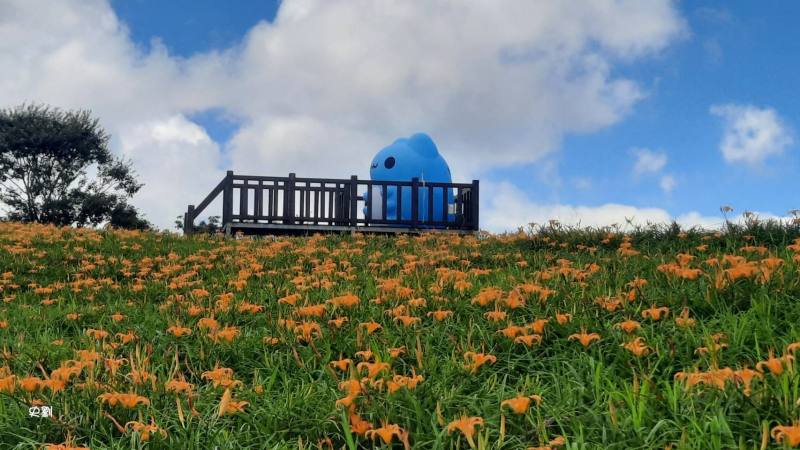 六十石山-貓貓蟲咖波 BUGCAT CAPOO