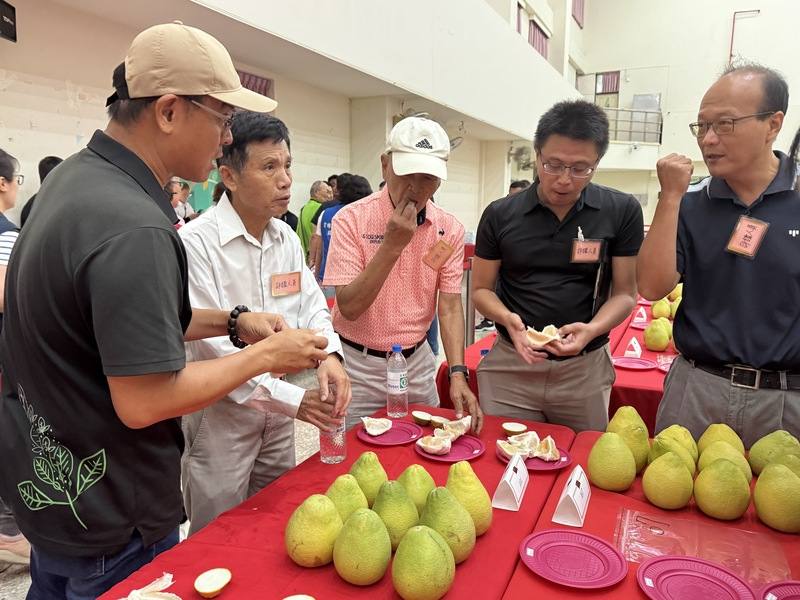 雲林縣斗六市公所9日舉辦「大斗六地區文旦品質評鑑」比賽，有70名果農參與；評審們分別由外觀、風味與肉質、種子數以及糖度進行評審。