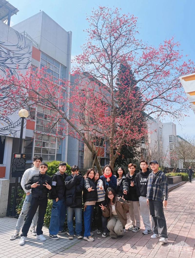 阮金銀(左4)與班上同學、導師於學校櫻花樹下合照