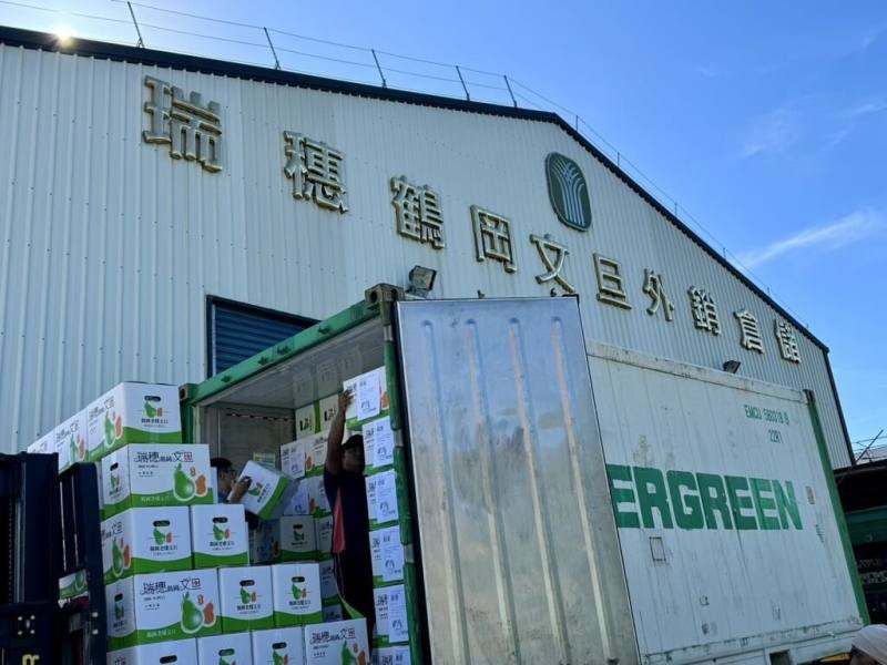 花蓮縣瑞穗鄉文旦柚外銷國外市場逾10年，今年擴及新加坡市場，12日正式封櫃，以「單粒包裝」方式外銷。（瑞穗鄉農會提供）