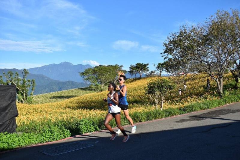 「2025花蓮富里第1屆六十石山半程馬拉松勇者挑戰賽」14日登場，來自台灣及世界各地2000多名跑者，在縱谷稻田與金針花海間跑步、揮灑汗水。（富里鄉公所提供）