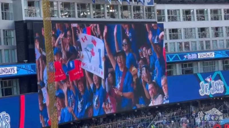 Rogers Centre大螢幕上捕捉僑胞手持黑熊，揮舞國旗展現TEAM TAIWAN