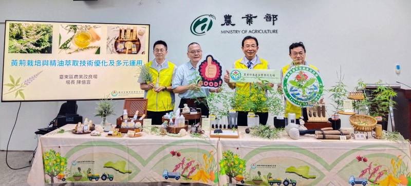 農業部台東區農業改良場協助原鄉部落農產優化，研發出提升黃荊精油萃取術，已公告技術授權，台東農改場17日在農業部舉行記者會，介紹傳統原鄉作物黃荊的新價值