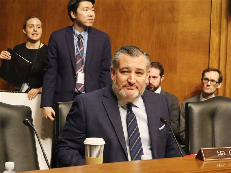 美國共和黨參議員克魯茲。（中央社檔案照片）