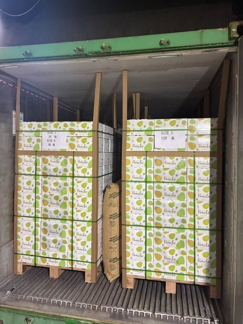 台灣文旦深受國內、外市場青睞，農業部動植物防疫檢疫署20日說，首批外銷馬來西亞文旦已海運抵馬來西亞並於19日順利通關。（防檢署提供）