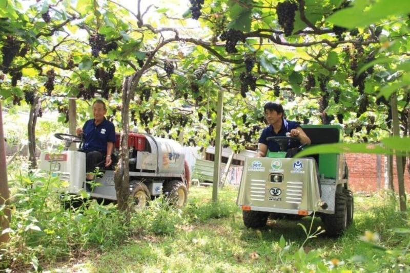 農業部台中區農業改良場最近成功研發「全電動化鼓風噴霧機」，能靈活穿梭於葡萄、釋迦等果樹園區，與傳統柴油引擎機型相比，碳排放可減少逾8成，且有效降低噪音污染。（台中農改場提供）