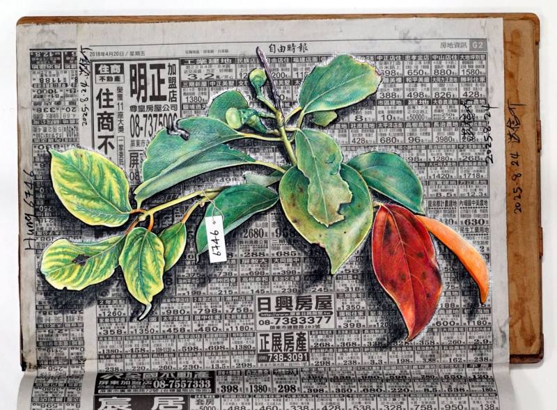 藝術家洪信介《牛樟：壓標本》（「細着藝術」提供）