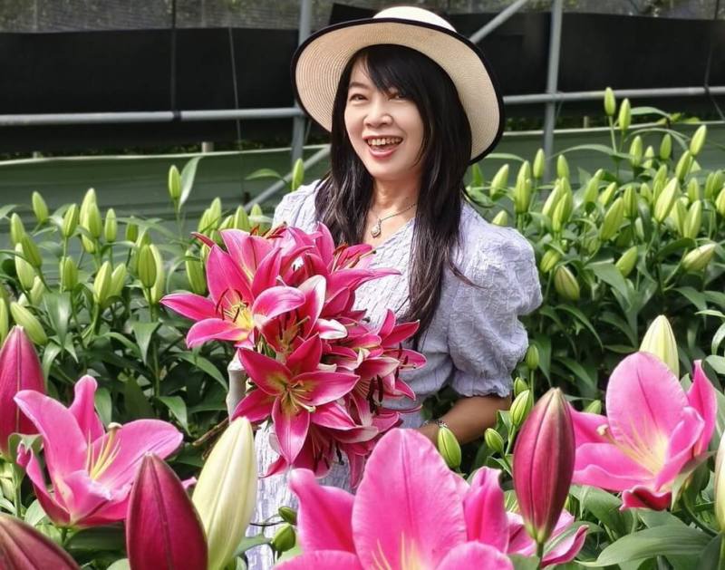 第2屆「阿里山百合花季」1日啟動，4日起將在嘉義阿里山鄉樂野村百合花園正式登場，將展示多達40種來自荷蘭的新品種百合花，盼讓遊客感受百合花的豔麗芬芳。（嘉義縣政府提供）