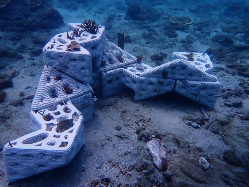 研發團隊將礁體接上珊瑚斷肢，並對生物適應進行觀測