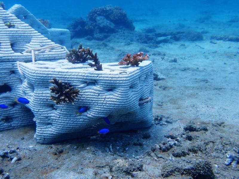 3D生態礁佈置完畢