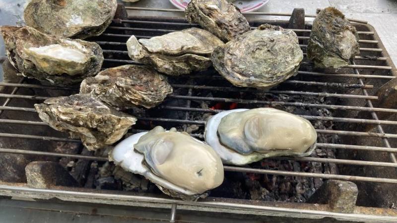 蚵仔是大眾秋節烤肉喜愛食材之一，嘉義縣政府推「溯源東石蚵美食地圖」踩點送好禮活動，歡迎民眾品嚐肥美東石蚵。（嘉義縣政府提供）