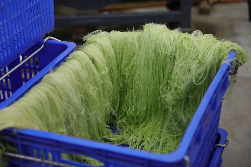 「自動化取纖機」機台將鳳梨葉片經過乾濕處理及分離渣料等程序後，鮮綠含水的鳳梨纖維大批產出，以「一貫式」程序提高產品良率並精準化人力