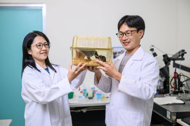 陽明交通大學副教授陳摘文（右）與林貝容（左）利用活動定位成像技術，在大腦中精準捕捉神經細胞的放電活動，突破以往神經科學的觀測瓶頸。（陽明交大提供）